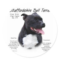 Staffordshire Bull Terrier History Design Round Stickers