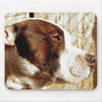 Staffordshire Bull Terrier Mouse mat mousepads