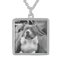 Staffordshire bull terrier necklace