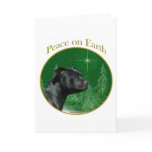 Staffordshire Bull Terrier Peace
