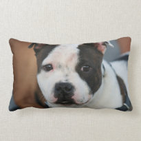 Staffordshire bull terrier throw pillow