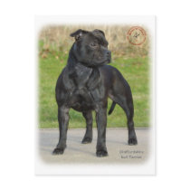 Staffordshire Bull Terrier postcards