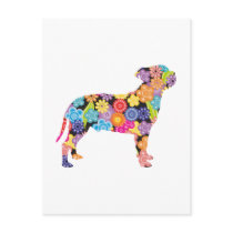 Staffordshire Bull Terrier postcards