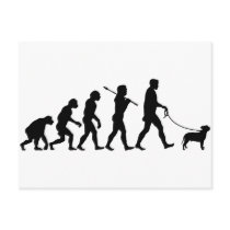 Staffordshire Bull Terrier Post Card