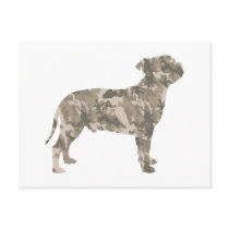 Staffordshire Bull Terrier Post Card
