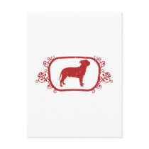 Staffordshire Bull Terrier Postcard