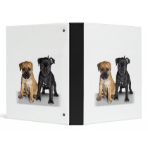 Staffordshire bull terrier puppies binder