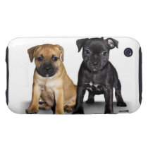 Staffordshire bull terrier puppies iphone 3 tough covers