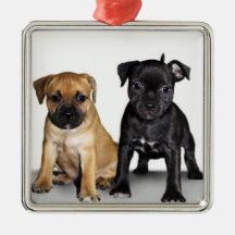 Staffordshire bull terrier puppies ornament