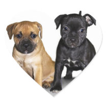 Staffordshire bull terrier puppies sticker