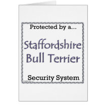 Staffordshire Bull Terrier Security System Cards
