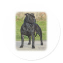 Staffordshire Bull Terrier stickers by TraffordPhotos Staffordshire Bull Terrier stickers