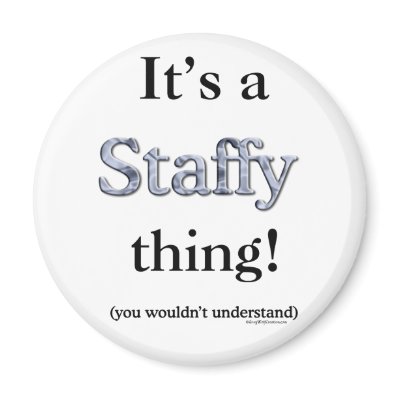 Staffordshire Bull Terrier Thing Refrigerator Magnet