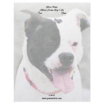 Staffordshire Terrier Letterhead