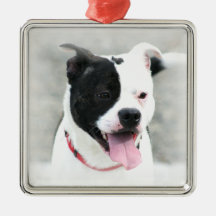 Staffordshire Terrier ornament