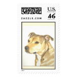 Staffordshire Terrier postage