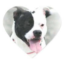 Staffordshire Terrier Stickers