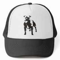 Staffy Hats
