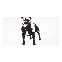 Staffy Photo Card Template
