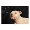 Staffy Puppy posters
