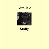 Staffy t-shirts