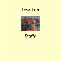 Staffy t-shirts