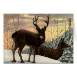 Stag and Doe Card