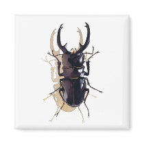 "Stag beetle" Insect Watercolor Art magnets