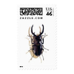 "Stag beetle" Insect Watercolor Art "Stag beetle" Insect Watercolor Art