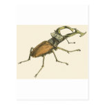 Stag Beetle Post Card