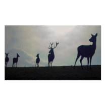stag family business cards