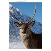 Stag Greeting Card