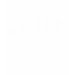Ladies Petite T-Shirt