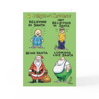 Stages Of Christmas Humor Holiday Card