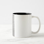 Stagg Beetle Mug