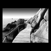 "Staggering Wooden Path in Black and White" photo posters