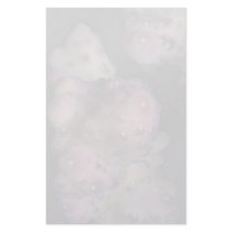 Staghorn coral tip from the Fiji Islands Stationery