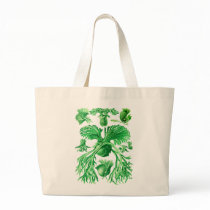 Staghorn Fern Bag