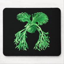 Staghorn Fern Mouse Pad