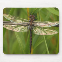 Stained Glass Wings Dragonfly Mousepad mousepads