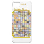 Stainglass casemate cases