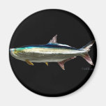 Stainless Tarpon by FishTs.com Magnets