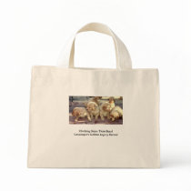 Stair climbing taint easy bags