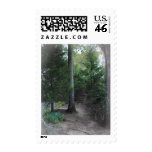 Stair In The Forest Postage