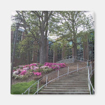 Stairs Leading Towards The Bio-Medical Building At Magnet