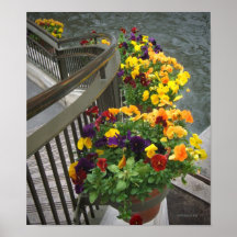 Stairway Flowers Poster