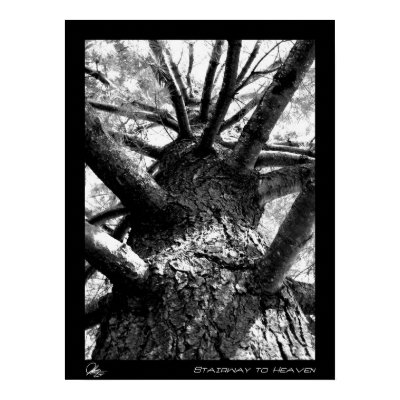 Stairway to Heaven Print by jsternig
