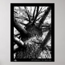 Stairway to Heaven Print