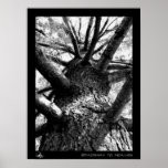 Stairway to Heaven Print
