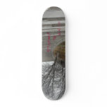 Stairway to Heaven Skateboard